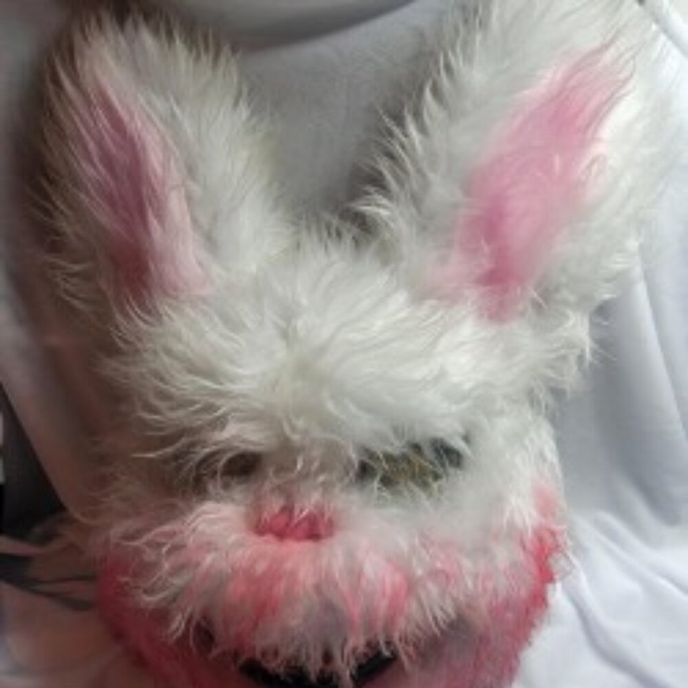Creepy Rabbit Mask Furry Horror Bloody Mouth Yellow Eyes Adult Halloween Cosplay